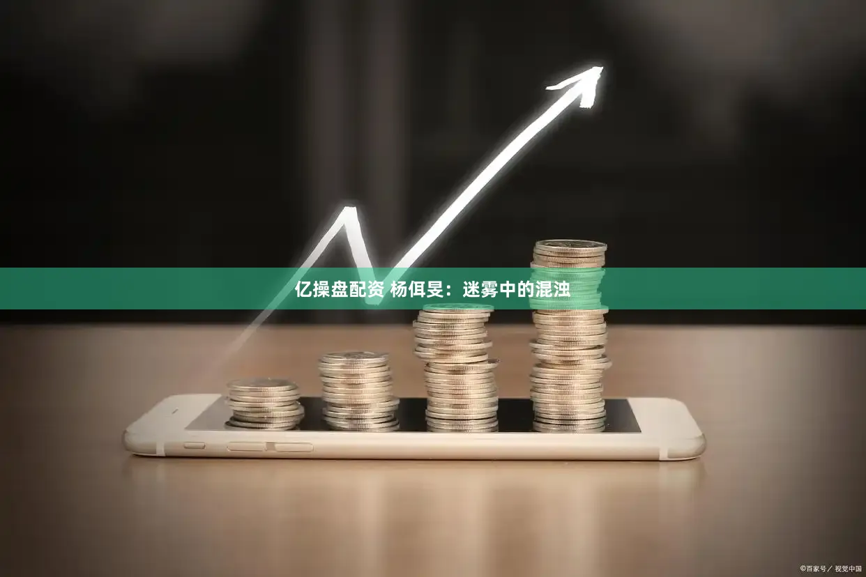 亿操盘配资 杨佴旻：迷雾中的混浊