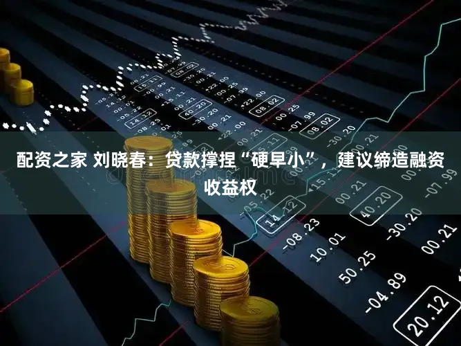 配资之家 刘晓春：贷款撑捏“硬早小”，建议缔造融资收益权