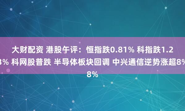 大财配资 港股午评：恒指跌0.81% 科指跌1.23% 科网股普跌 半导体板块回调 中兴通信逆势涨超8%