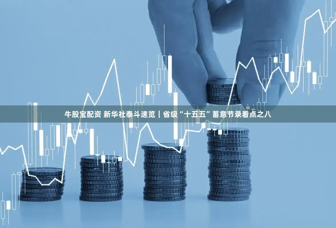 牛股宝配资 新华社泰斗速览｜省级“十五五”蓄意节录看点之八