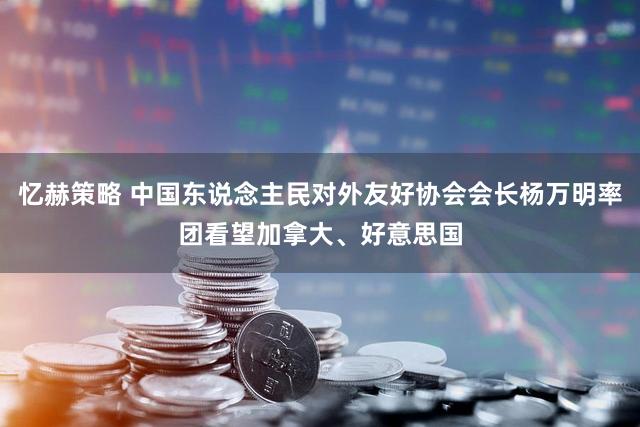 忆赫策略 中国东说念主民对外友好协会会长杨万明率团看望加拿大、好意思国