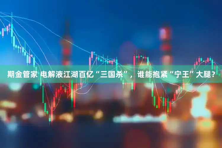 期金管家 电解液江湖百亿“三国杀”，谁能抱紧“宁王”大腿？