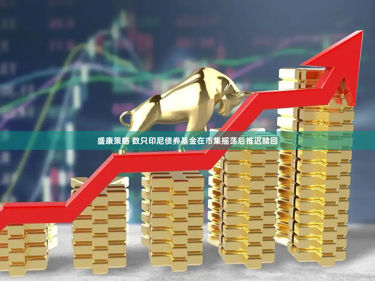 盛康策略 数只印尼债券基金在市集摇荡后推迟赎回