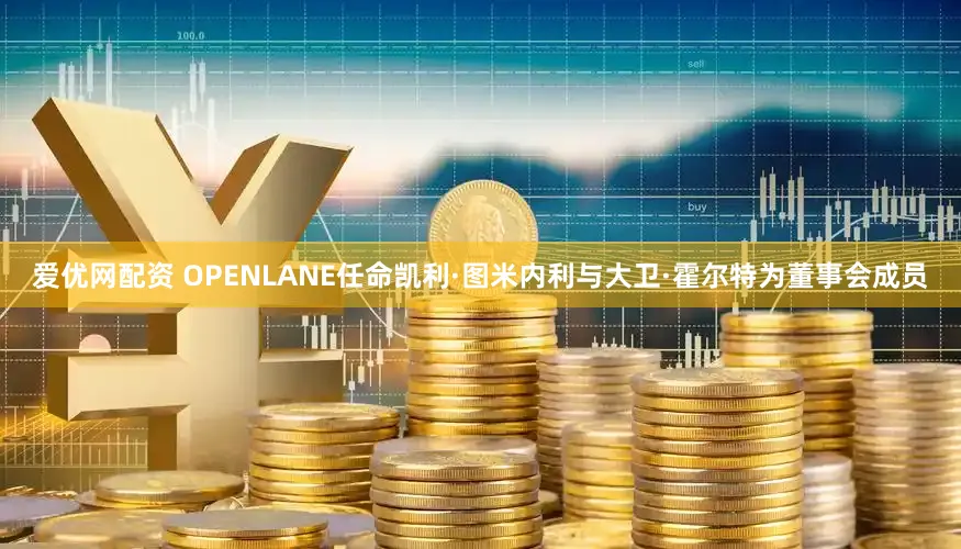 爱优网配资 OPENLANE任命凯利·图米内利与大卫·霍尔特为董事会成员