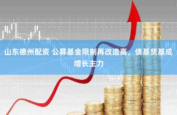 山东德州配资 公募基金限制再改造高，债基货基成增长主力