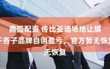 鼎盛配资 传比亚迪场地让旗下各子品牌自诩盈亏，官方暂无恢复